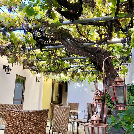 Rural Self Check In 24h 빌라플로르