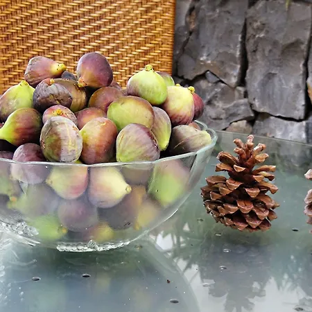 Rural Self Check In 24h Kır Evi *